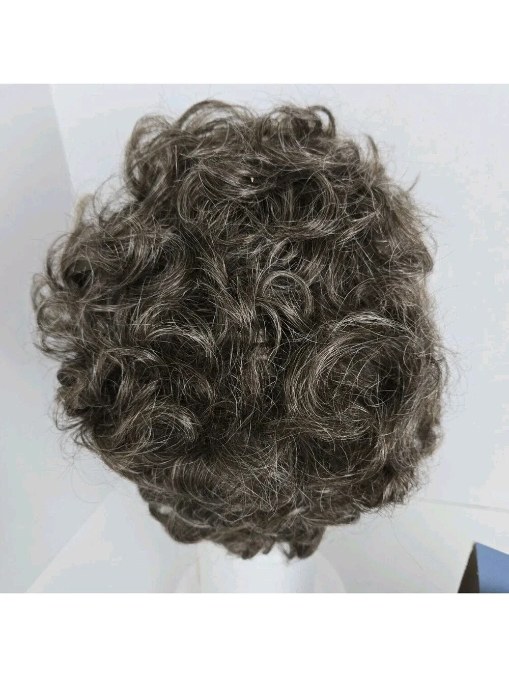 TWC Fashion Basics Holiday Color 365 Size Large Wig Curly Salt and Pepper